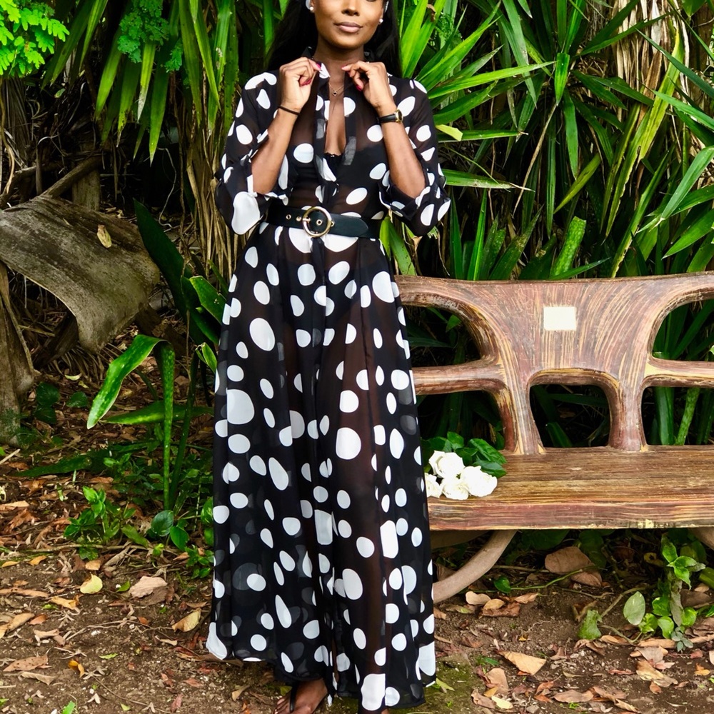 Sheer Shirt Dress - Picture 3 of 4